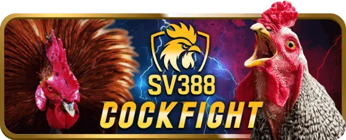 Quà tặng độc quyền cho thành viên VIP J88vip2 Nhà Cái